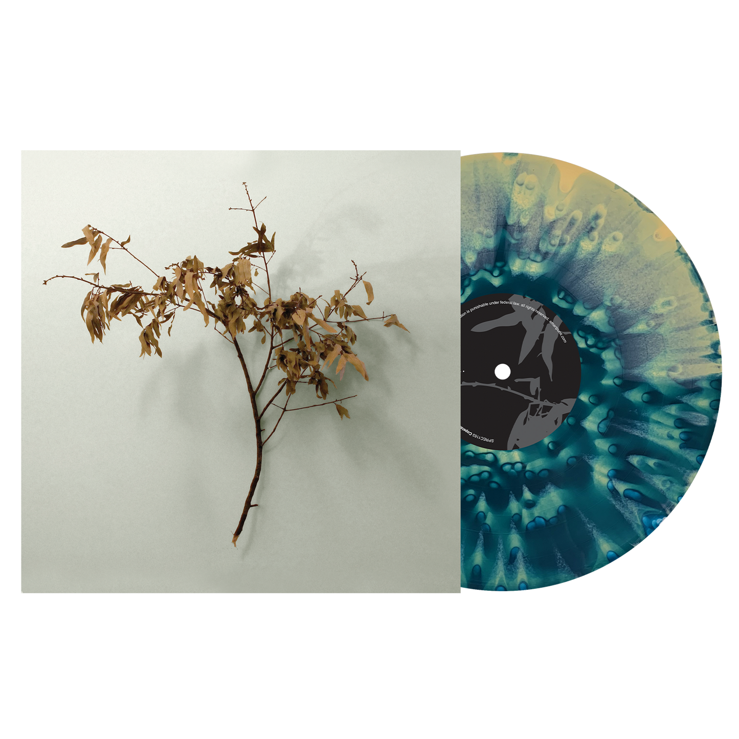 Copeland - In Motion