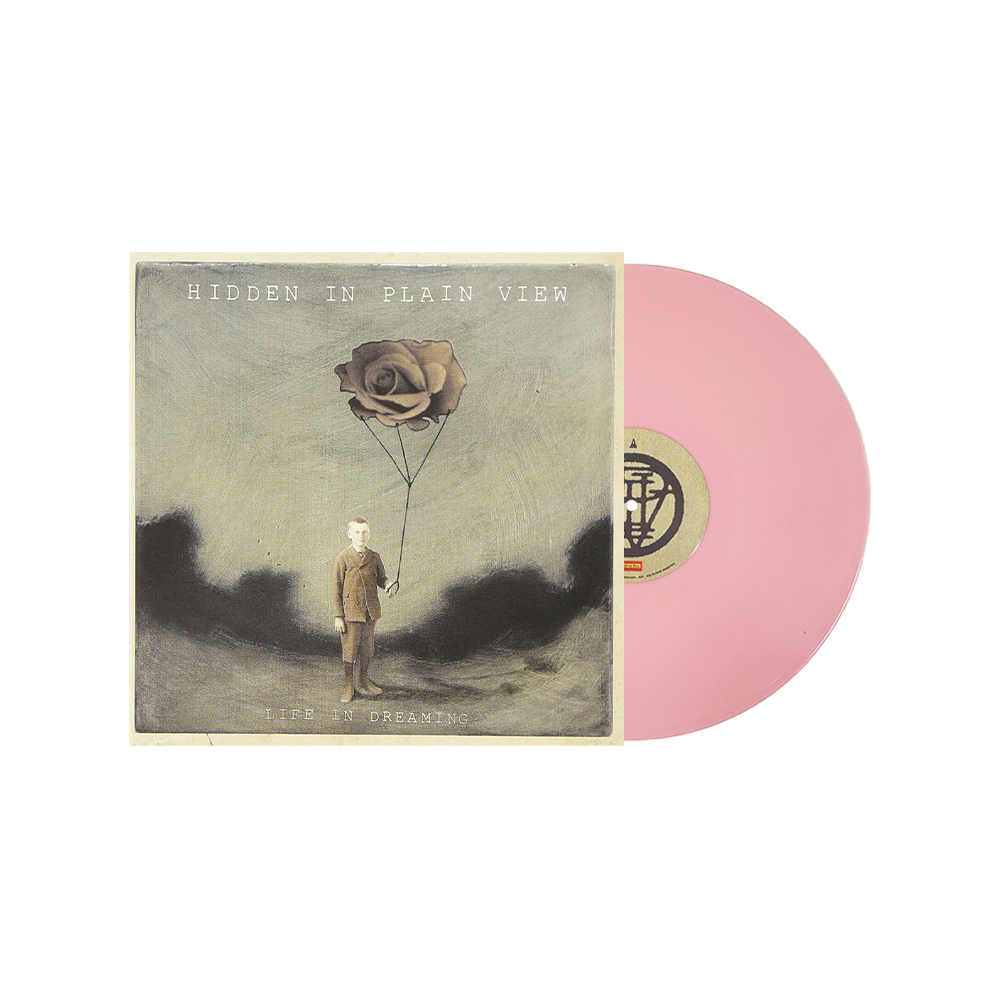 Hidden In Plain View - Life In Dreaming