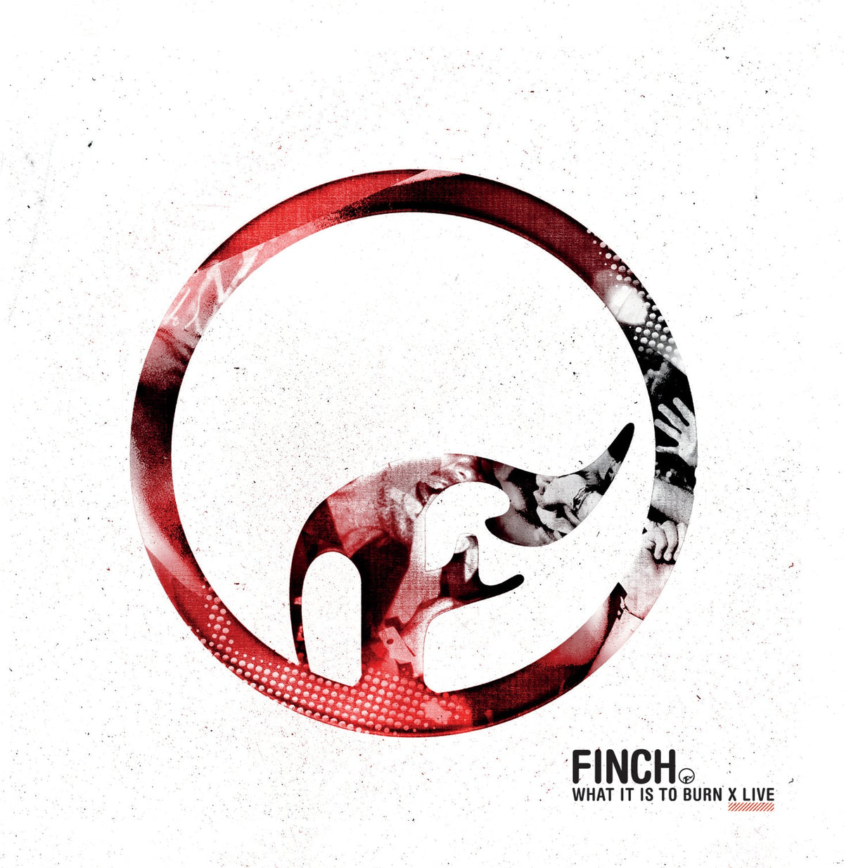 Finch - 